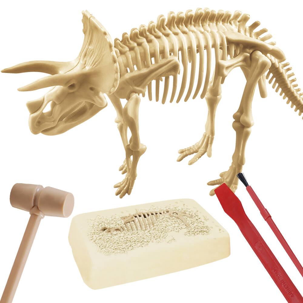 THE TWIDDLERS 48 Squelettes de Dinosaures pour Garçons & Filles - Jeu Éducatif de Paléontologie - Dino Fossiles à Creuser - École, Montessori