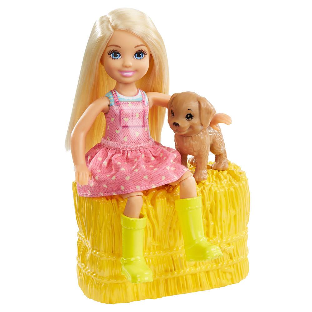 barbie chelsea et ses amies