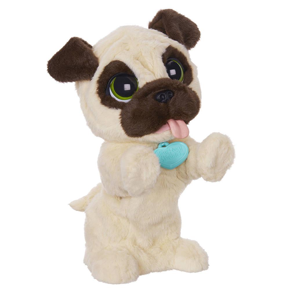 JJ MON CHIEN JOUEUR 226079 JJ MON CHIEN JOUEUR 226079