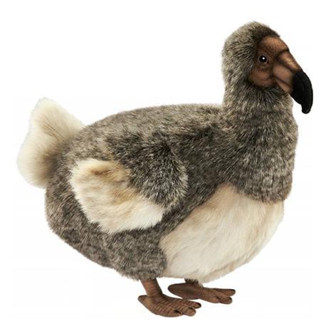 dodo peluche