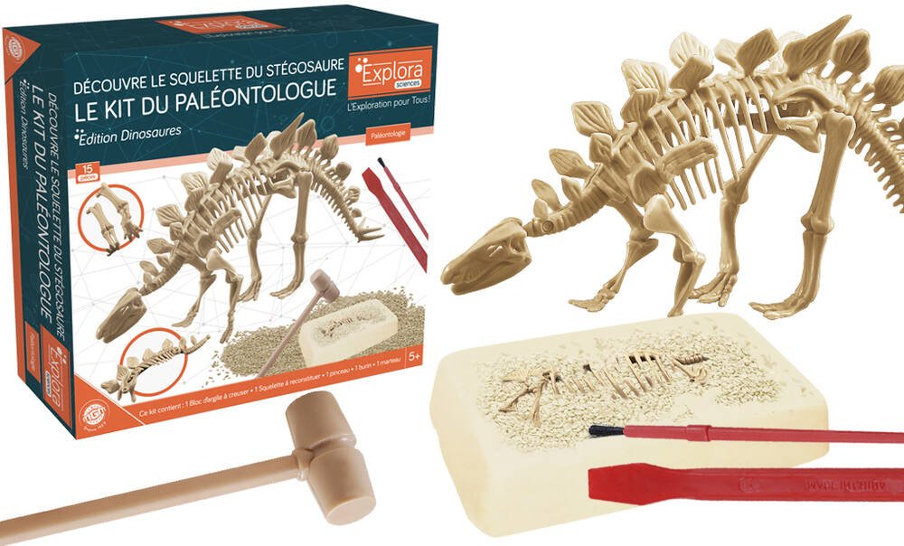 Kit pour jouer au paléontologue – Maman Luju