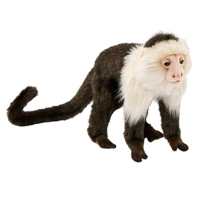 Peluche Singe Capucin Cm Peluche Joueclub