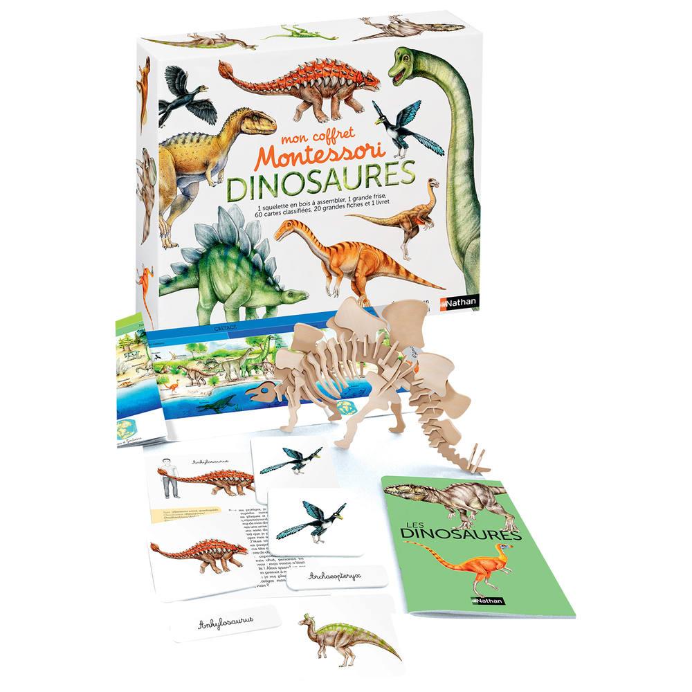 Jeux éducatifs dinosaures clearance
