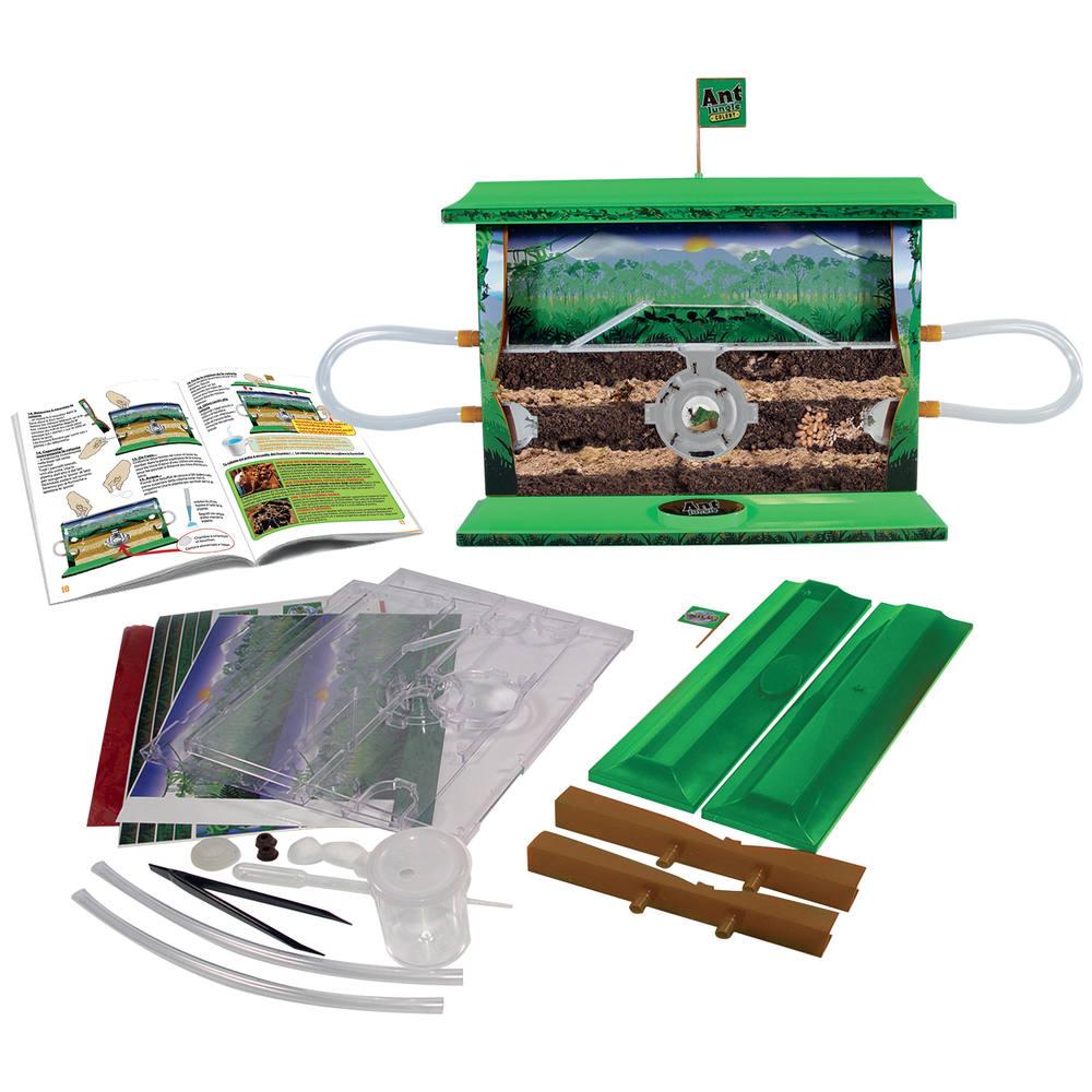 La maison des fourmis jouet club Clearance