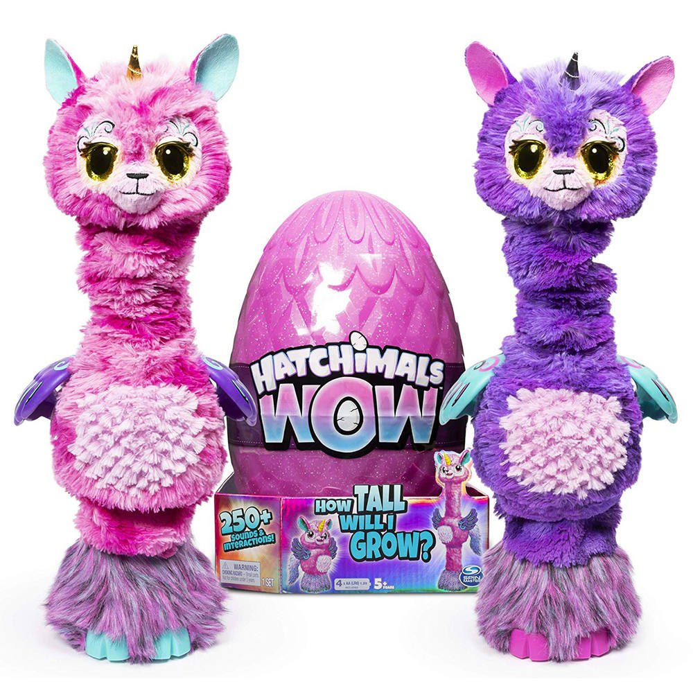 hatchimals jouet club