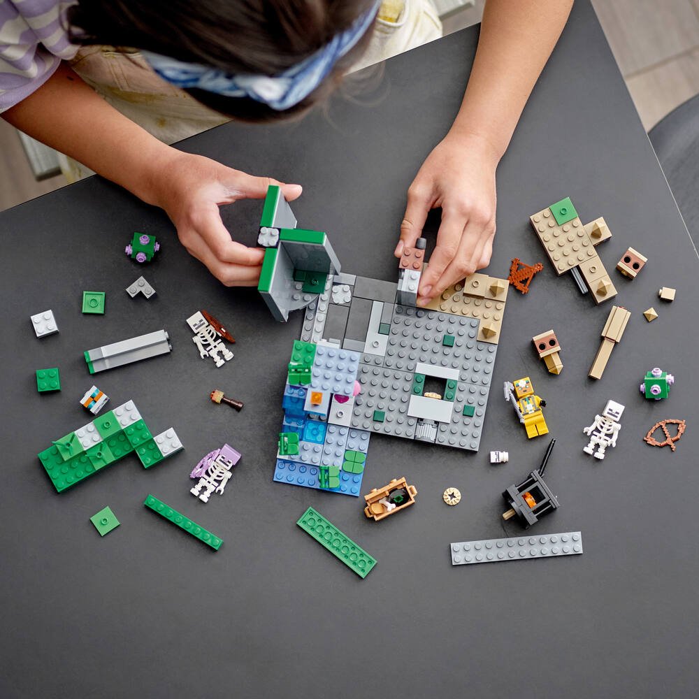Lego®minecraft™ 21189 - le donjon squelette, jeux de constructions &  maquettes
