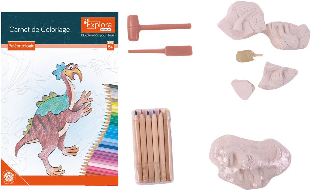 Kit Paléontologue 2 Dinosaures à Déterrer – T-Rex & Stégosaure – Jeu Scientifique Enfant 6 Ans+