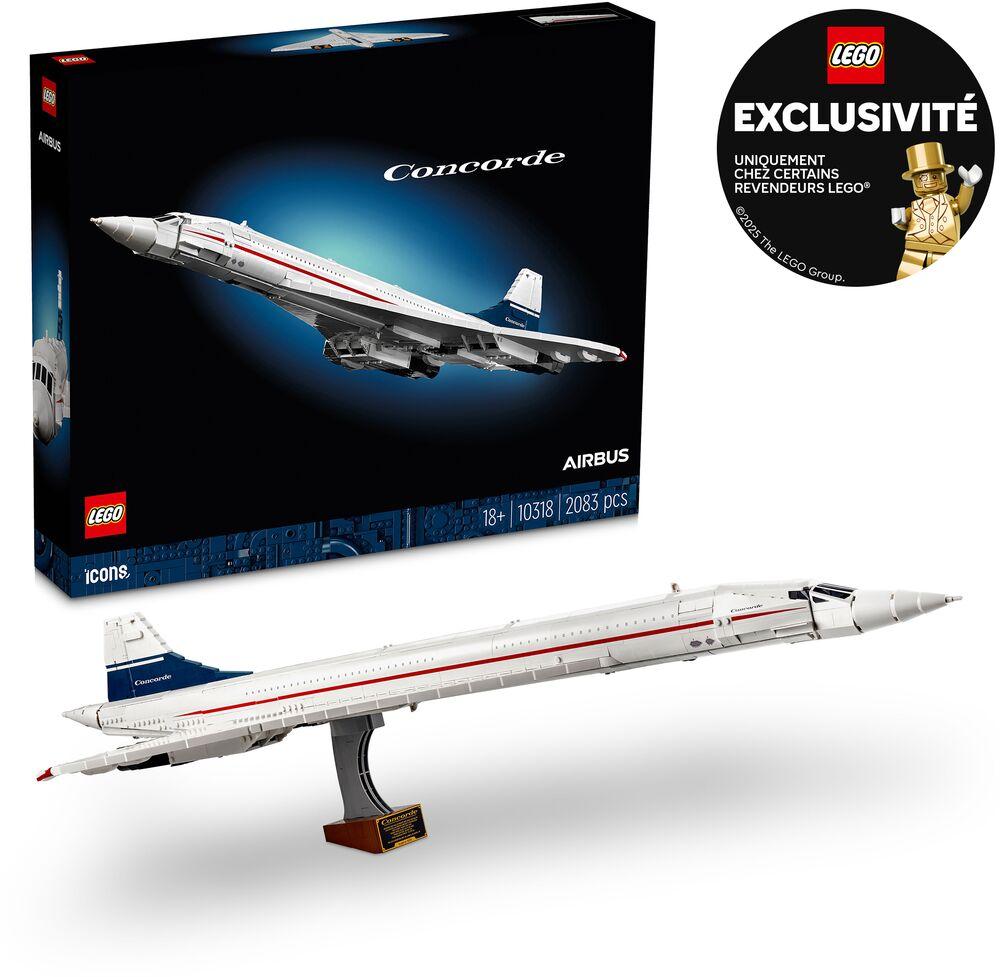 Maquette Airbus Concorde British Airways - Échelle 1/6 - PVC - Cadeau Personnel