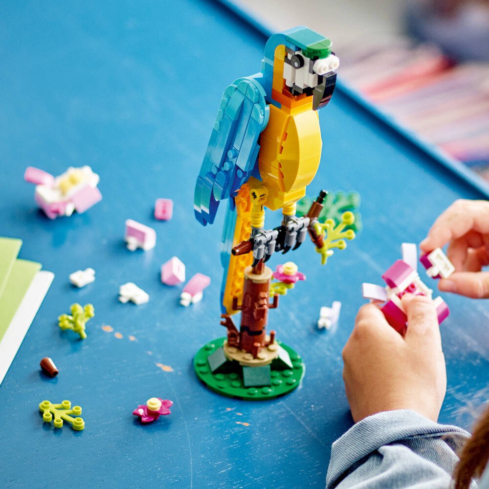 LEGO® Creator 3-en-1 31136 Le Perroquet Exotique, Figurines Animaux de la  Jungle, avec Grenouille et Poisson - Cdiscount Jeux - Jouets