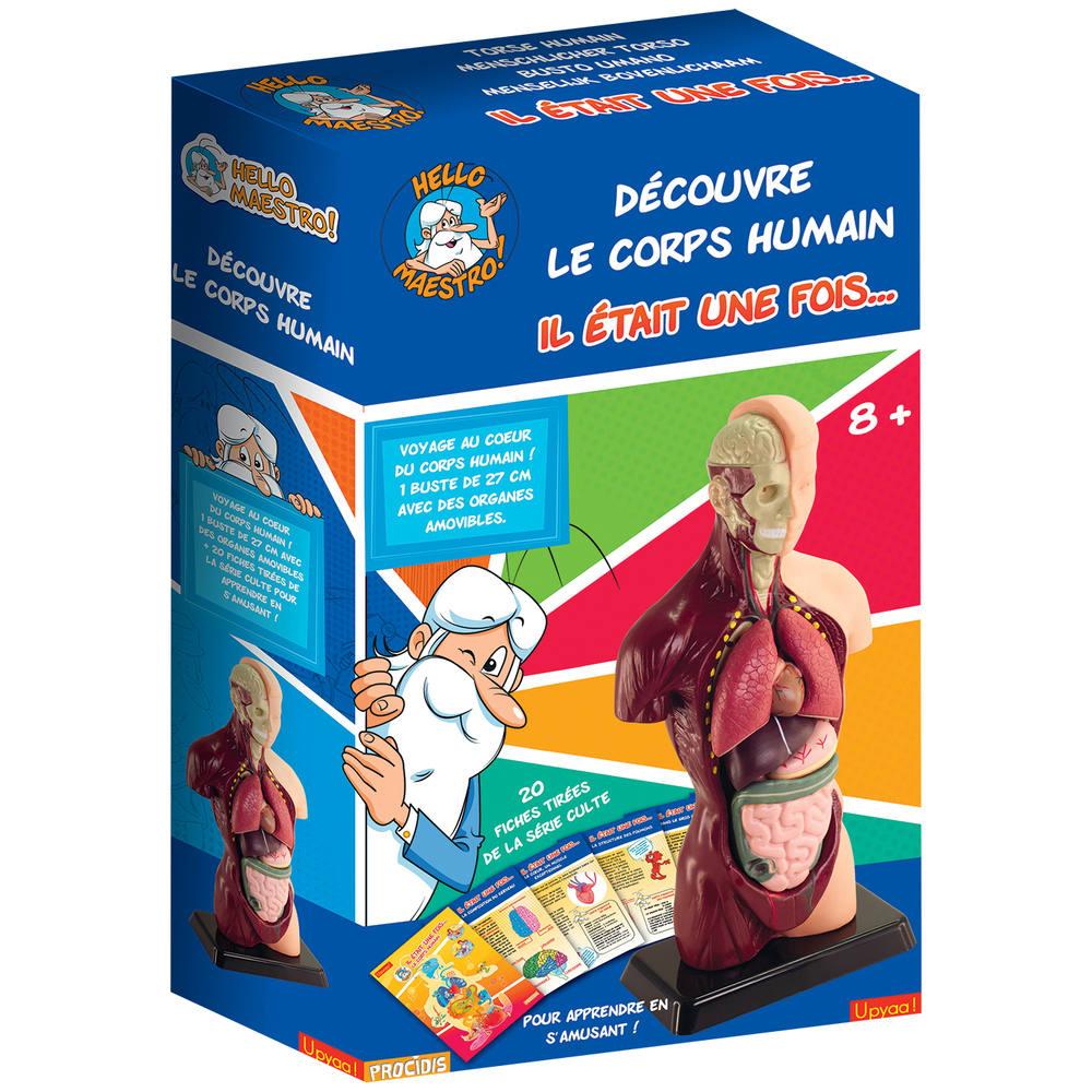 Jeux corps humain jouet club clearance