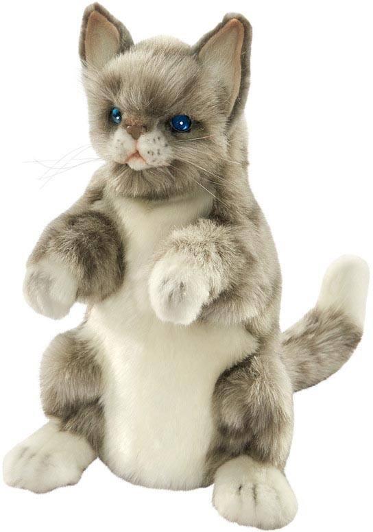 Peluche jouet club hot sale