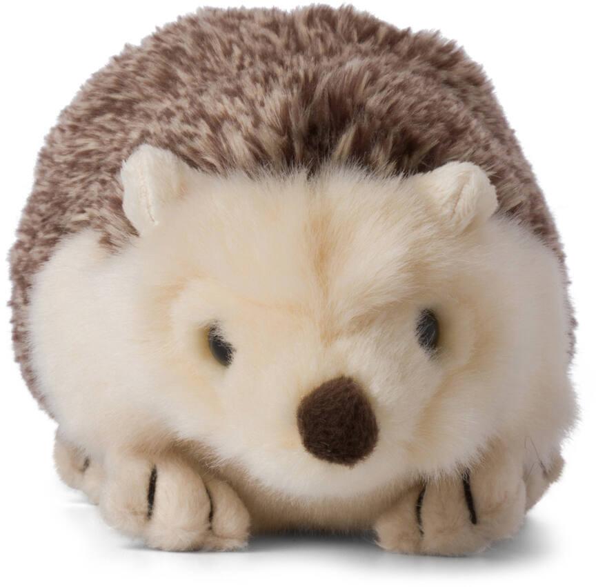 Peluche hérisson 2024 jouet club