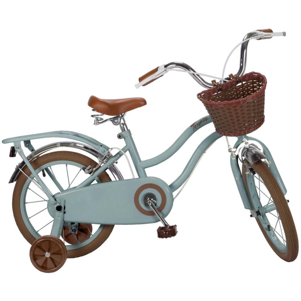 Velo Fille 16 Pouces Vintage Vert Jeux Exterieurs Et Sports Joueclub