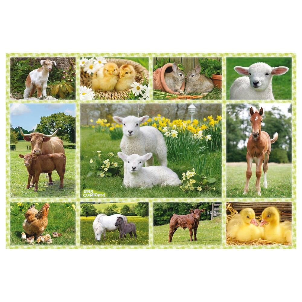 Bebe Animaux A La Ferme 100 Pieces Puzzle Joueclub