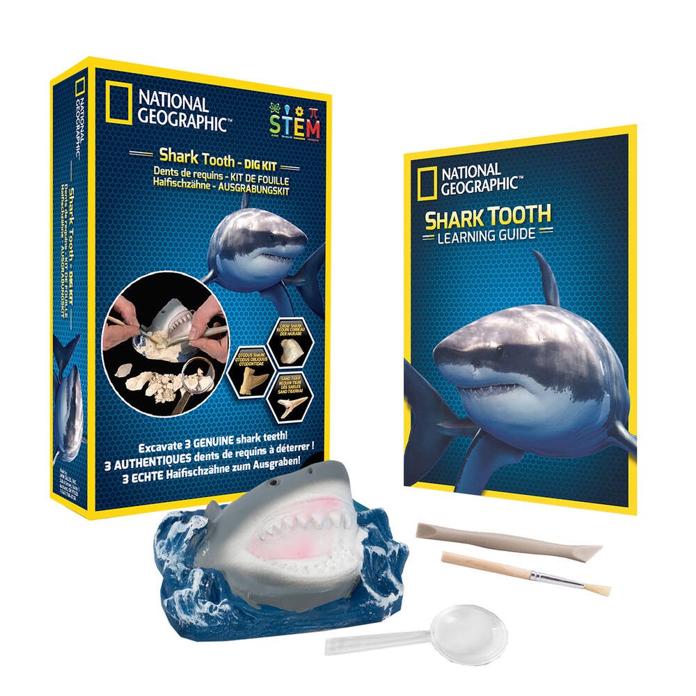 Vvikizy Jouets de dents de dentiste de requin Jouets de dentiste de requin,  anti-Stress, jeu interactif puericulture coffret Bleu