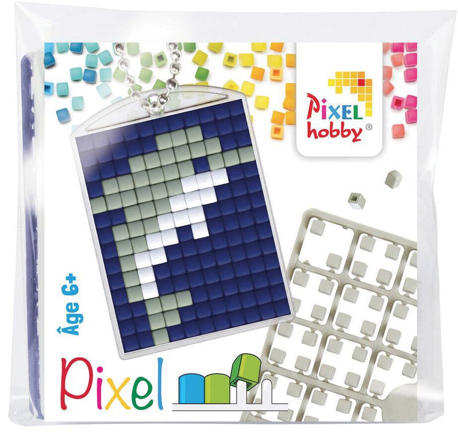 Kit créatif Pixel 3 porte-clés + livret 38 modèles - Animaux Pixel Hobby  chez Rougier & Plé