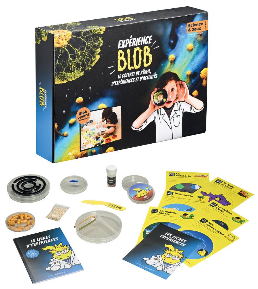 Kit d'expérience Objectif Blob ! – BLOBSHOP