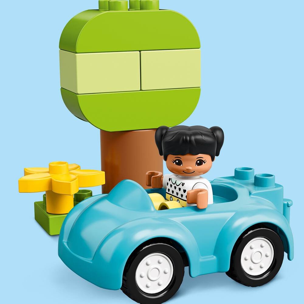LEGO DUPLO Briques - 4623 - Jouet d'Eveil - Boîte de Briques - Fille :  : Jeux et Jouets