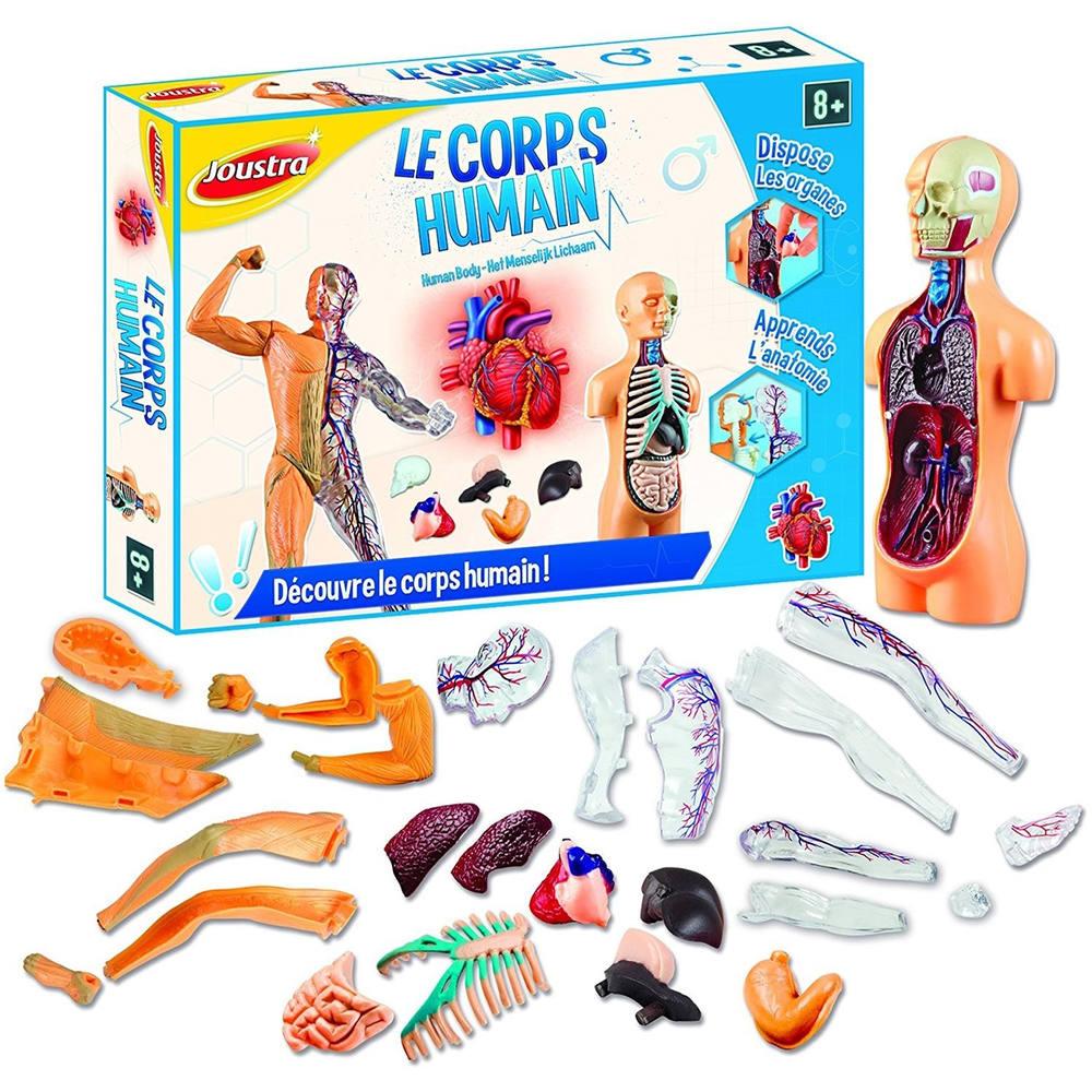 Corps humain | jeux educatifs | jouéclub