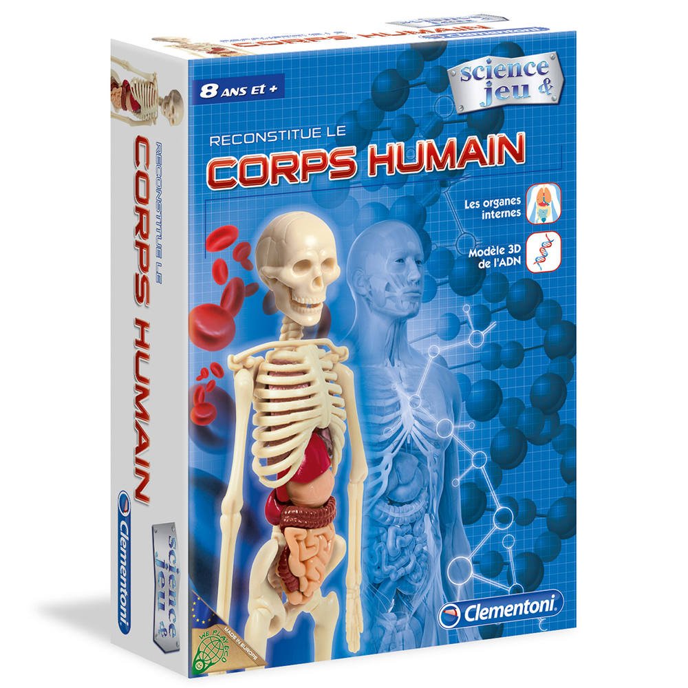 corps humain jeux educatifs
