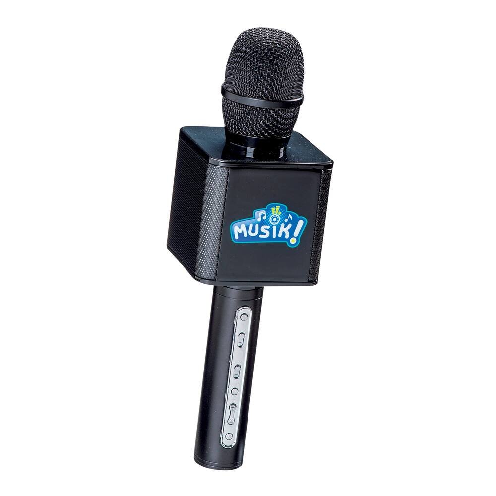 Famille Karaoke Ensemble Audio Microphone Sans Fil Haut-Parleur Sans Fil  Pour Fête En Plein Air Pour Enfants - Temu France