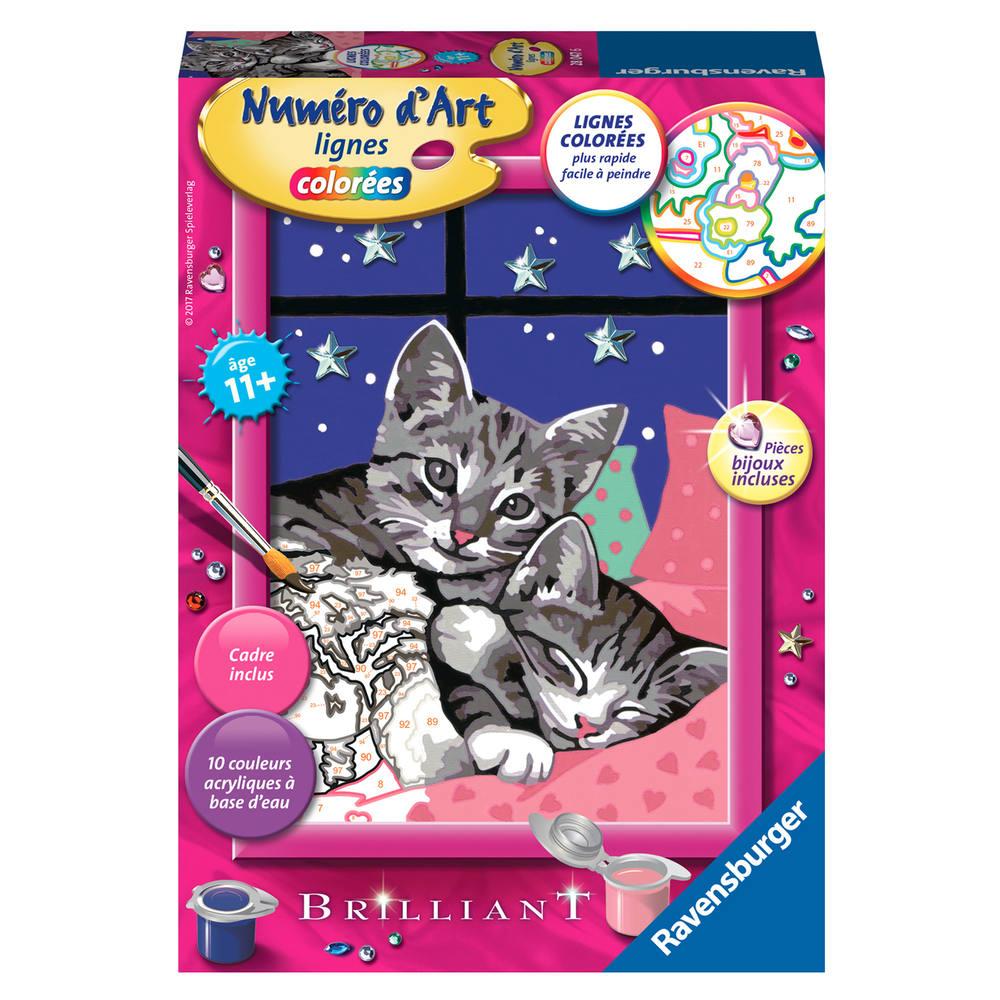 Numero D Art Petit Format Chatons Enlaces Sous Une Nuit Etoilee Activites Creatives Et Manuelles Joueclub