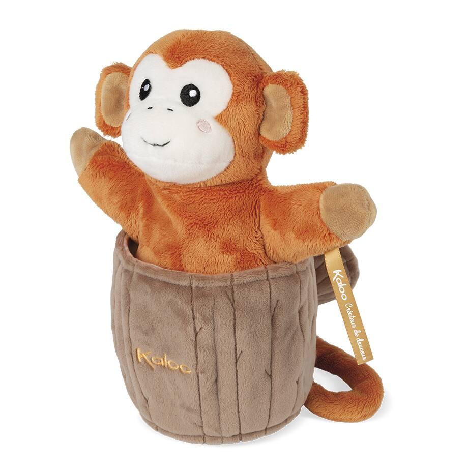 Nounours discount cache coucou