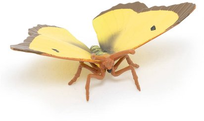 41070258.jpg