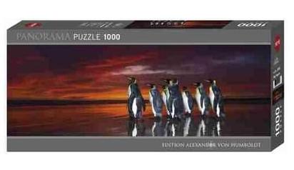 41204038.jpg