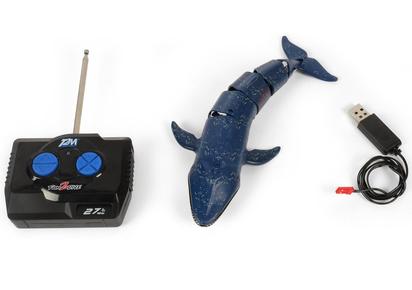 RC BIG WHALE 41345298.jpg