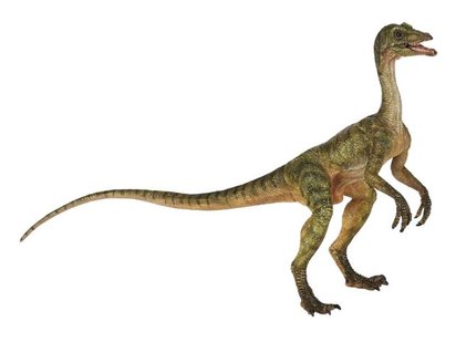 Des Pour Et Enfant Dinosaures Jouets JouéclubSpécialiste Jeux P0NOXwk8nZ