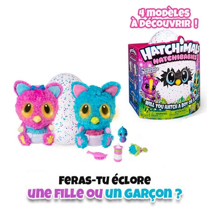 hatchimals jouet club