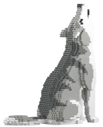 41264869.jpg