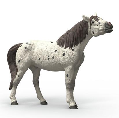 41273702.jpg