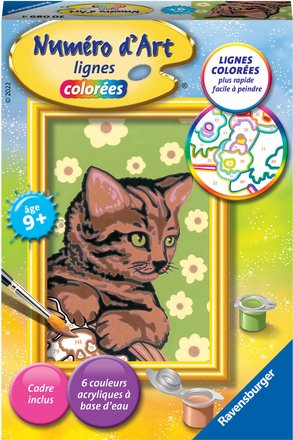 Numéro d'art - Cheval chatons - Coffrets Peinture Enfants - Coffrets  Créatifs pour enfant